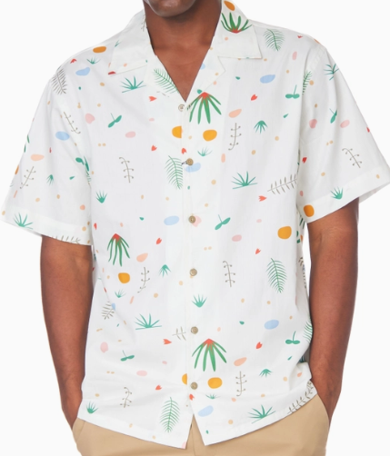 White open neck shirts
