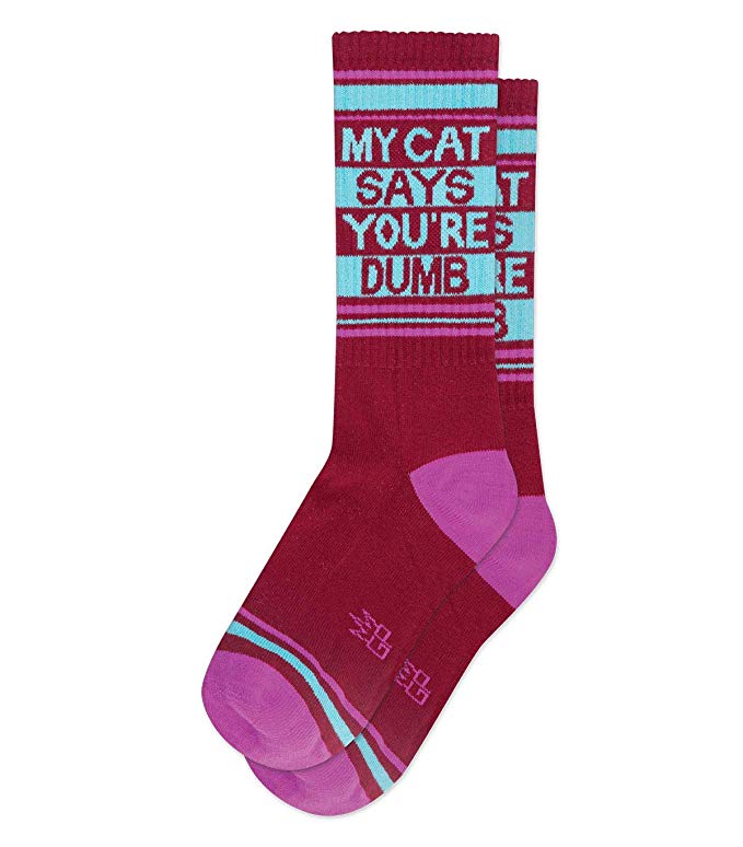 My cat says you are dumb gym socks